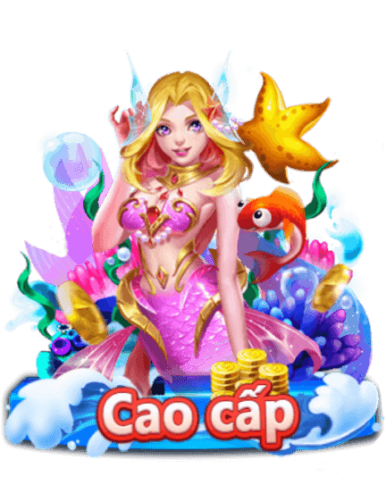 banca30-cao-cap